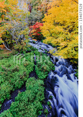從瀧見橋上眺望秋葉染紅的阿寒山溪。 134073529