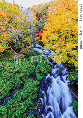 A beautiful view of the autumn foliage and mountain stream from Takimi Bridge in Akan-Mashu National Park A beautiful view of the autumn foliage and mountain stream from Takimi Bridge in Akan-Mashu National Park 134073531