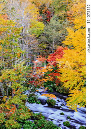 The autumn scenery of Lake Akan, with its vibrant foliage and clear streams The autumn scenery of Lake Akan, with its vibrant foliage and clear streams 134073532