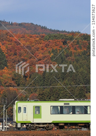 2025年11月23日,Kiha 110系列柴油動車組行駛在飯山線上,背景是秋色斑斕的山巒。 (照片拍攝於2025年11月23日) 2025年11月23日,Kiha 110系列柴油動車組行駛在飯山線上,背景是秋色斑斕的山巒。 (照片拍攝於2025年11月23日) 134073627