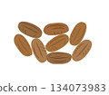 Illustration of cocoa beans 134073983
