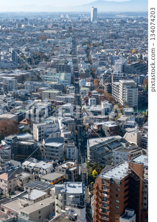從東京三軒茶屋向西眺望城市景觀 134074203