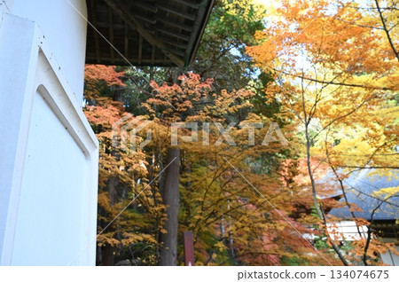 Besso Onsen Besso Onsen 134074675