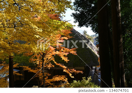 貝索溫泉 134074701