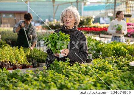 Mature woman choosing mint for her home Mature woman choosing mint for her home 134074969