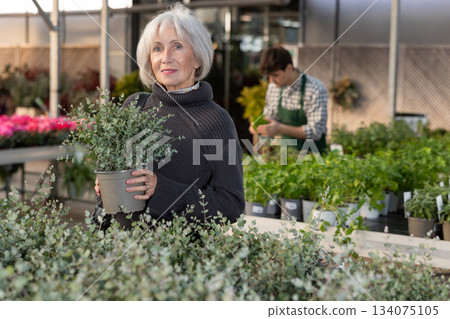 Woman holds peas with a eucalyptus bush in her hands Woman holds peas with a eucalyptus bush in her hands 134075105