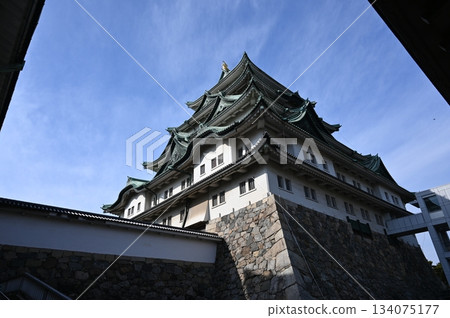 Nagoya Castle Nagoya Castle 134075177