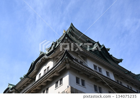 Nagoya Castle Nagoya Castle 134075235