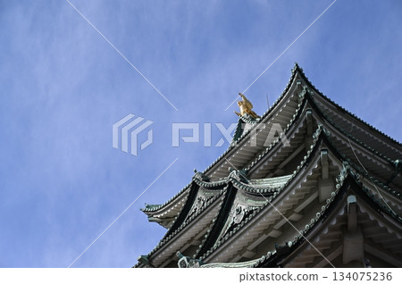 Nagoya Castle Nagoya Castle 134075236