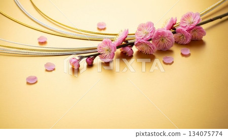 金色和紙與梅花,水引(新年,日式,新年賀卡)的背景素材 金色和紙與梅花,水引(新年,日式,新年賀卡)的背景素材 134075774