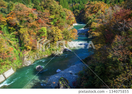 秋日清澈的玉川 134075855
