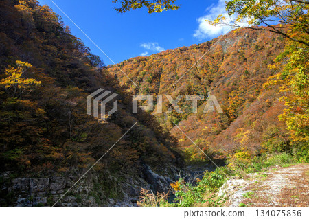 紅蝦峽谷 134075856