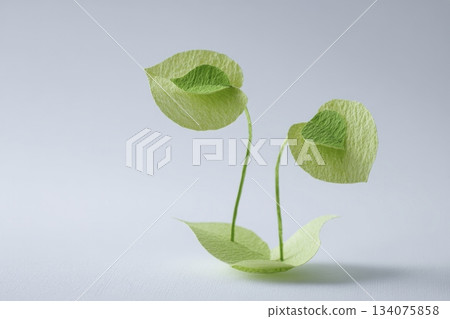 Paper craft style sprout image background 134075858