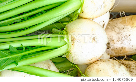 Cubs harvested Cubs harvested 134075869