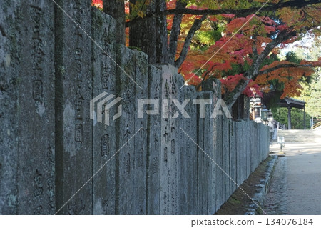 Autumn leaves of Mt. Koya 134076184