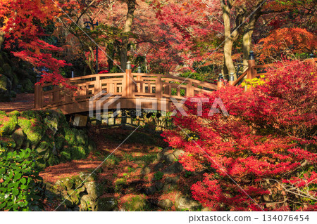 Atami Plum Garden, the best time to see the autumn leaves 134076454
