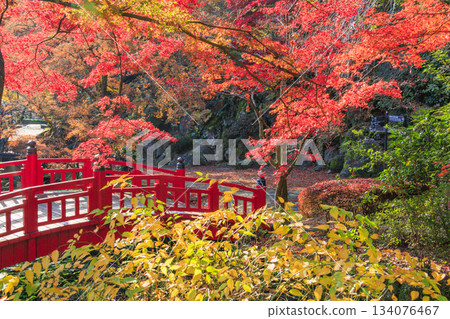 熱海梅園,賞秋葉的最佳時節。 熱海梅園,賞秋葉的最佳時節。 134076467