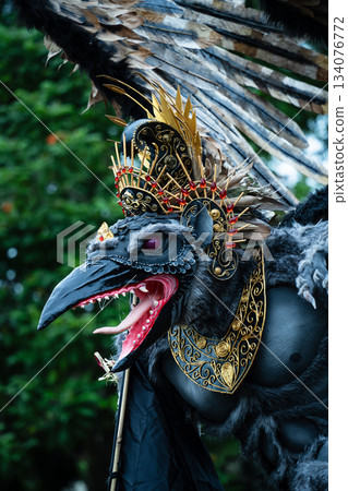 峇裡島傳統鳥神的彩色服飾和側面像 134076772