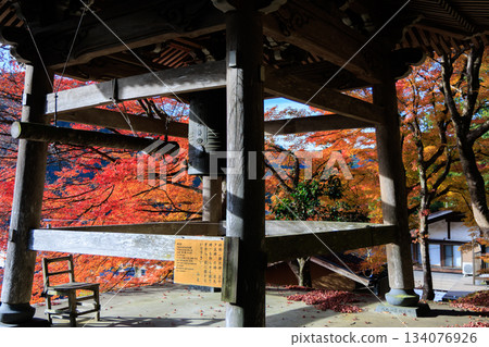 Autumn scenery of Gujo Hachiman's autumn leaves and temple bell towers 134076926