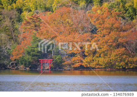 秋葉盛開時，一白湖景色最迷人。 134076989
