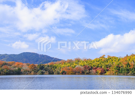 秋葉盛開時,一白湖景色最迷人。 秋葉盛開時,一白湖景色最迷人。 134076990