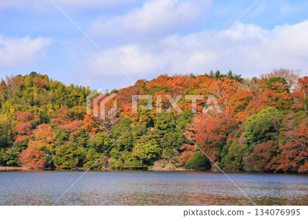 Lake Ippeki at its best when the autumn leaves are in full bloom Lake Ippeki at its best when the autumn leaves are in full bloom 134076995