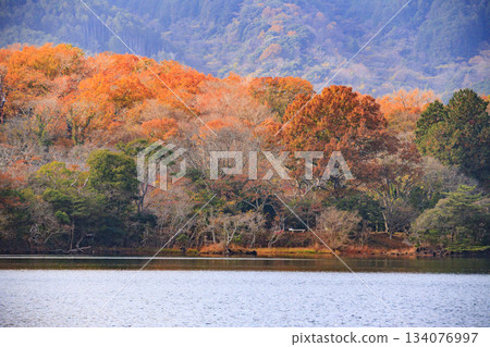 Lake Ippeki at its best when the autumn leaves are in full bloom Lake Ippeki at its best when the autumn leaves are in full bloom 134076997