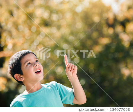 Boy child, pointing and outdoor with space for mockup in nature, garden or backyard with wow, thinking or freedom. Kid, point and hand gesture to sky by trees in park, woods or playground for mock up Boy child, pointing and outdoor with space for mockup in nature, garden or backyard with wow, thinking or freedom. Kid, point and hand gesture to sky by trees in park, woods or playground for mock up 134077098