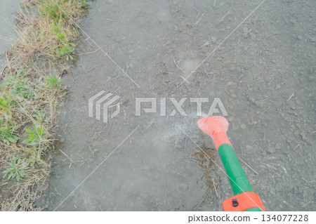 稻田 傳播 水稻 134077228