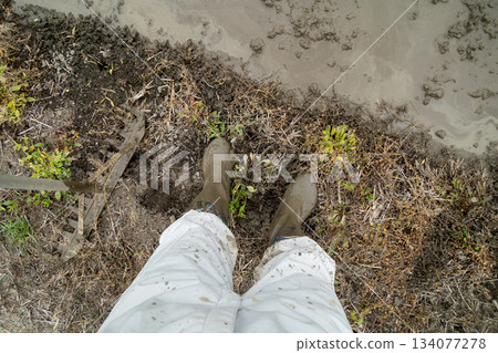 feet, paw, foot 134077278