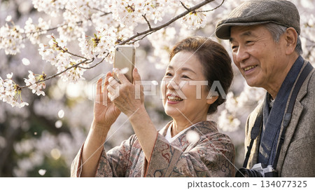 享受櫻花觀看的一對老夫婦 134077325