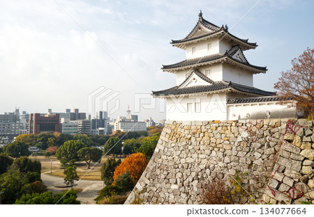 明石城和辰巳塔聳立於城市景觀之上(石牆和公園,冬季景色) 明石城和辰巳塔聳立於城市景觀之上(石牆和公園,冬季景色) 134077664