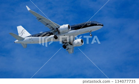 星飛航空客機空中巴士A320 134077735