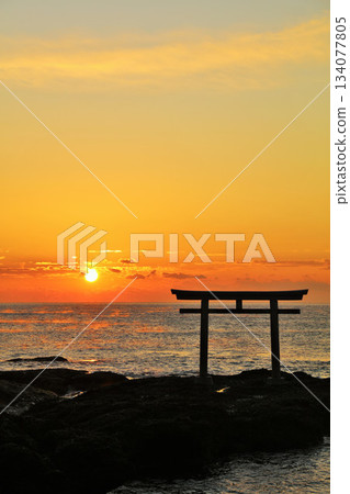 茨城縣大洗磯崎神社的日出 茨城縣大洗磯崎神社的日出 134077805