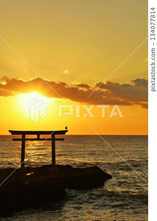 First sunrise from Oarai Isosaki Shrine, Ibaraki Prefecture First sunrise from Oarai Isosaki Shrine, Ibaraki Prefecture 134077814
