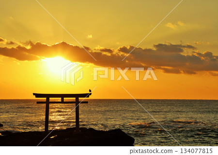 茨城縣大洗磯崎神社的日出 茨城縣大洗磯崎神社的日出 134077815