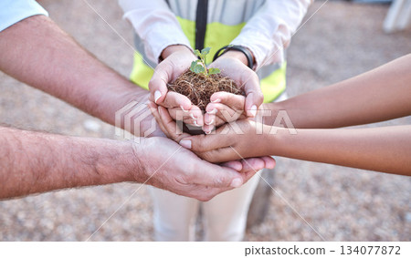 Plants, group and people hands for outdoor gardening, agriculture and business growth collaboration in teamwork. Palm, sapling soil and women and man with sustainable, agro and climate change project Plants, group and people hands for outdoor gardening, agriculture and business growth collaboration in teamwork. Palm, sapling soil and women and man with sustainable, agro and climate change project 134077872