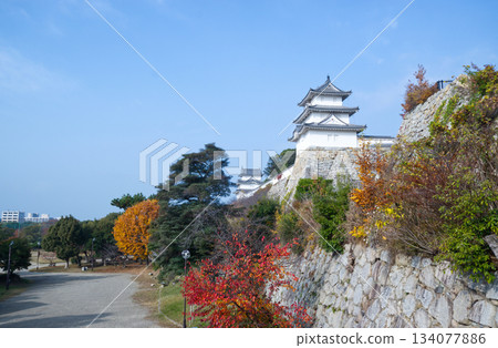 Akashi Castle's turrets and stone walls shining against the autumn sky (park scenery, tourist attraction) 134077886