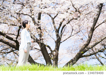 A young woman walking along a row of cherry blossom trees. Lifestyle image A young woman walking along a row of cherry blossom trees. Lifestyle image 134078400
