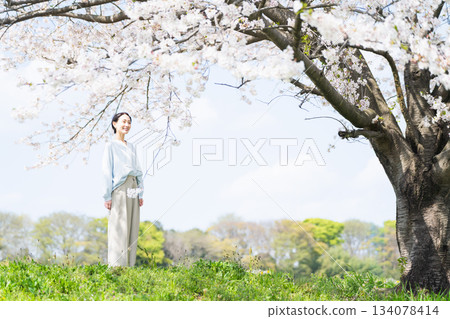 年輕女子仰望櫻花樹生活方式圖像 134078414