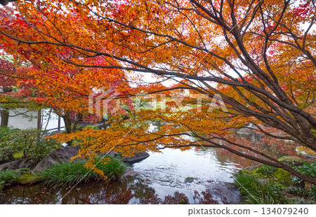 池塘中倒映著絢麗的秋葉（皇苑：秋色） 134079240