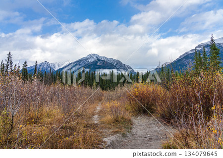 秋天的麥克唐納夫人山和格羅託山。加拿大艾伯塔省坎莫爾。 134079645
