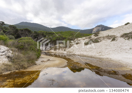 Landscape view of Squeaky Beach with the blue sky in Victoria, Australia Landscape view of Squeaky Beach with the blue sky in Victoria, Australia 134080474
