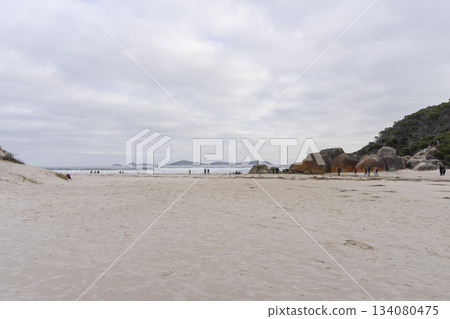 Landscape view of Squeaky Beach with the blue sky in Victoria, Australia Landscape view of Squeaky Beach with the blue sky in Victoria, Australia 134080475