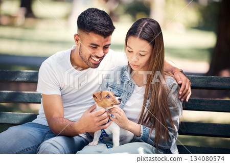 Man, woman and puppy relax in park, bench and summer sunshine with happiness, care and bond. Young couple, touch and small dog with calm, smile and hug for love, romance and family in nature together 134080574