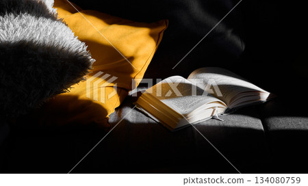A well lit space with a book open on a sofa A well lit space with a book open on a sofa 134080759