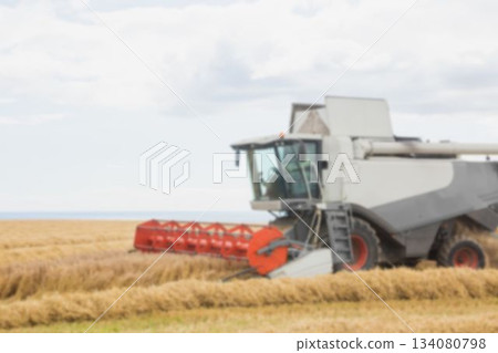 Combine harvesting wheat in rural field Combine harvesting wheat in rural field 134080798
