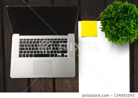 Laptop on side of a paper and plant Laptop on side of a paper and plant 134081093