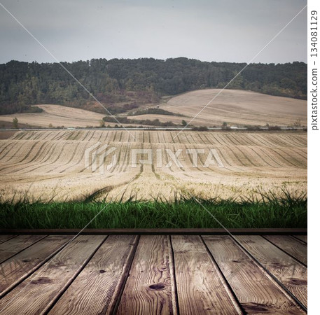 Wooden planks on farm scene Wooden planks on farm scene 134081129