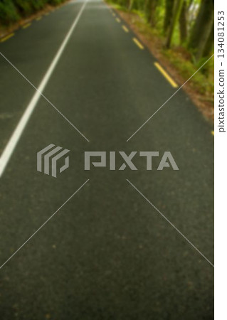 High angle view of empty road in forest High angle view of empty road in forest 134081253